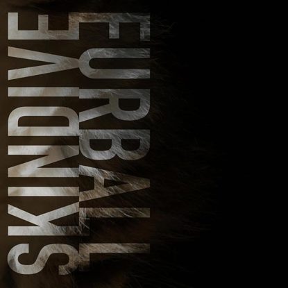 Skindive - Furball Single Artwork
